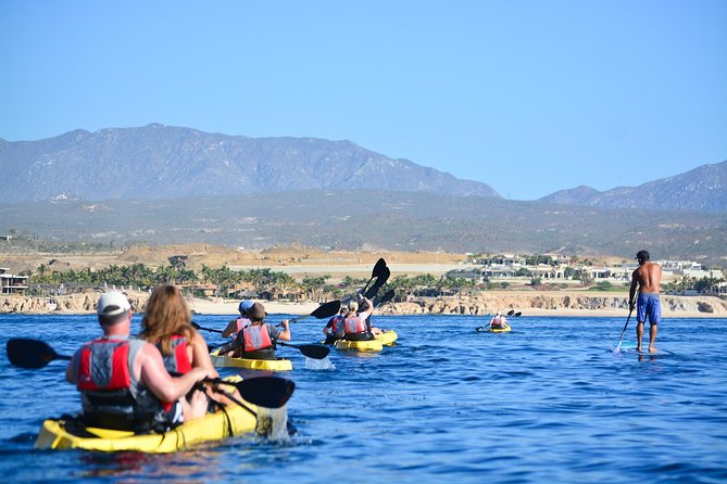 Cabo San Lucas Glass Bottom Kayak Tour and Snorkel at Two Bays - What the guides add to the experience