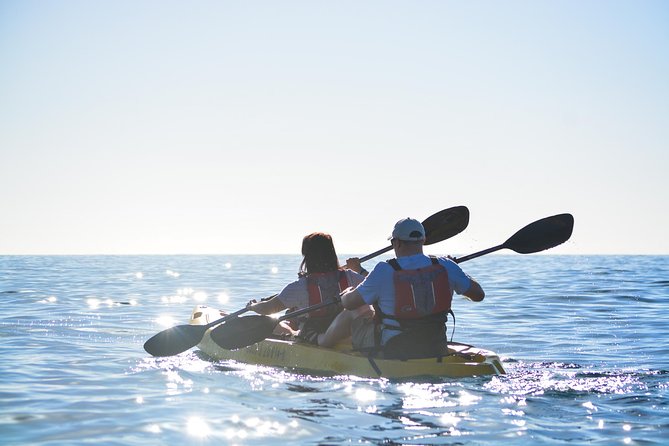 Cabo San Lucas Glass Bottom Kayak Tour and Snorkel at Two Bays - Is the $100 price a good value?