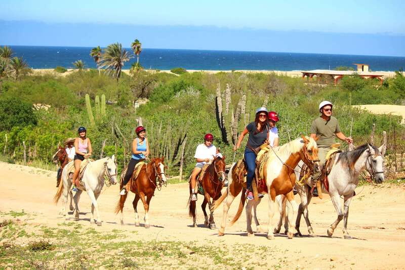 Cabo San Lucas: Horseback Riding in Migriño with Transfers - Key points to know before you book