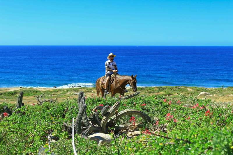 Cabo San Lucas: Horseback Riding in Migriño with Transfers - Practical tips for a smoother ride