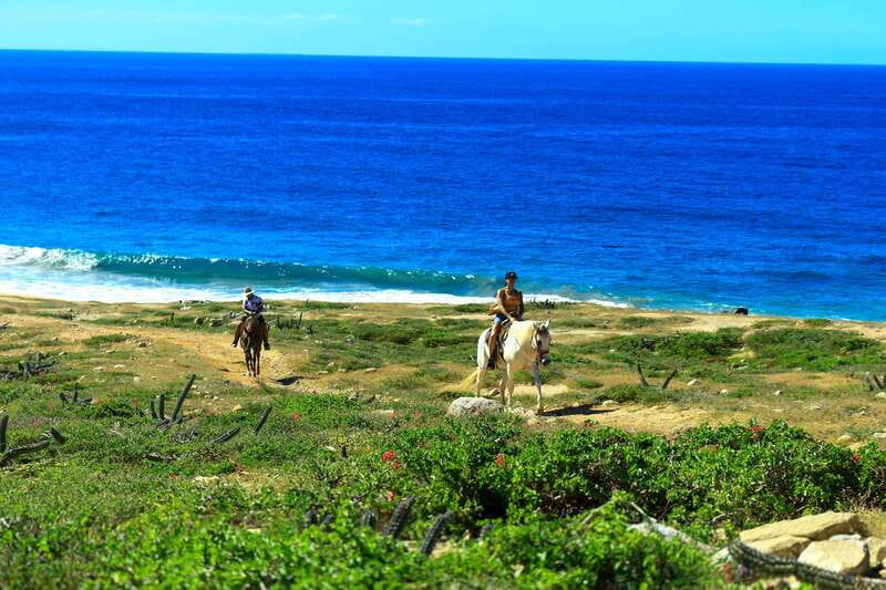 Cabo San Lucas: Horseback Riding in Migriño with Transfers - Riding from Cabo to Migriño