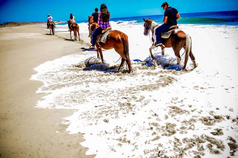 Cabo San Lucas: Horseback Riding in Migriño with Transfers - The horses are a major part of the experience