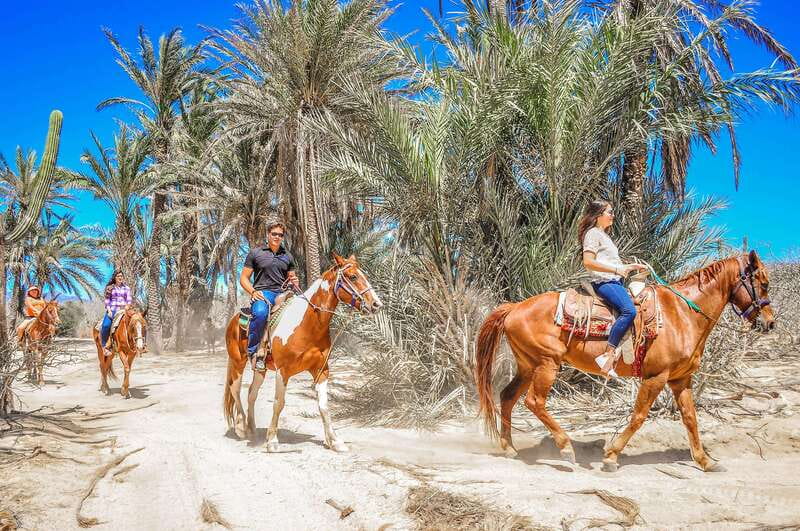 Cabo San Lucas: Horseback Riding in Migriño with Transfers - Guides, instruction, and the pace of the ride