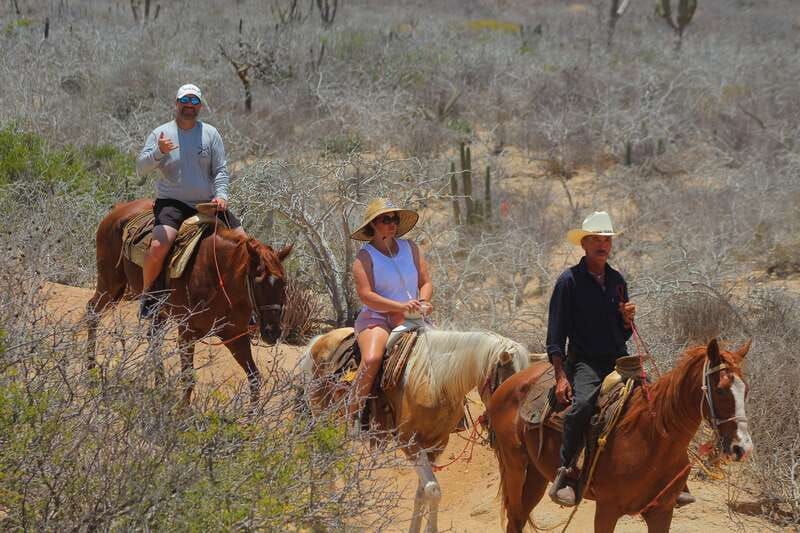 Cabo San Lucas: Horseback Riding in Migriño with Transfers - The seashore viewpoint and seasonal whale possibility