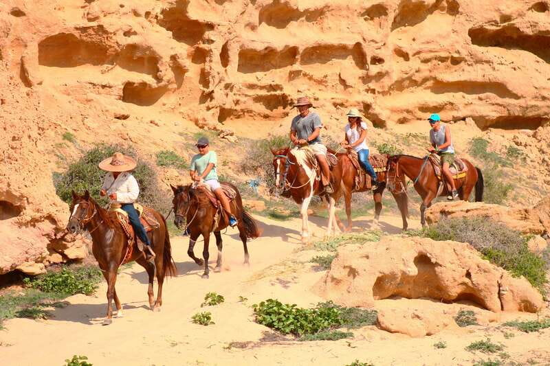 Cabo San Lucas: Horseback Riding in Migriño with Transfers - After the ride: photos, tequila, and free time
