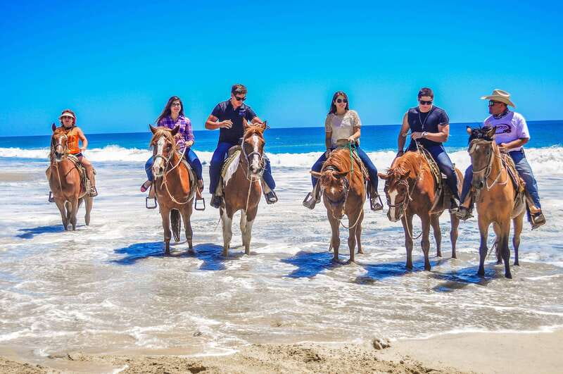 Cabo San Lucas: Horseback Riding in Migriño with Transfers - Who should book this Migriño ride?