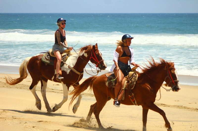 Cabo San Lucas: Horseback Riding in Migriño with Transfers - A two-hour route through Baja’s desert and coast