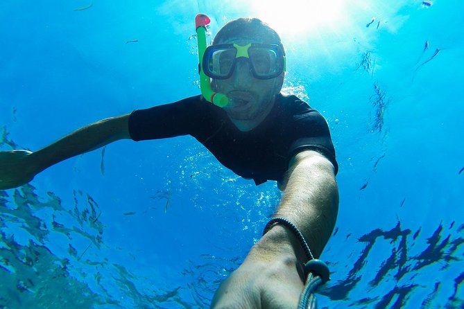 Cabo San Lucas Short Snorkeling Tour with Divemaster Guide - Why the protected bay suits beginners