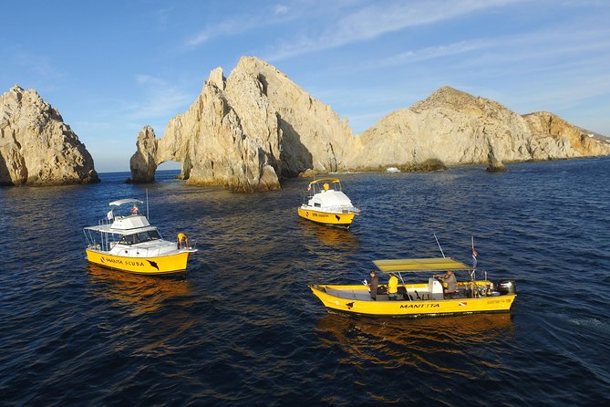Cabo San Lucas Short Snorkeling Tour with Divemaster Guide - Who should book this Cabo outing?