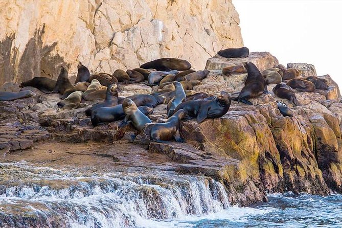 Cabo San Lucas sightseeing and Famous Arch tour - Hotel pickup is convenient, but timing matters