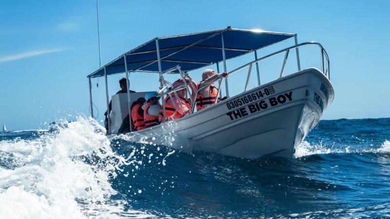 Cabo San Lucas: Tour paseo al Arco + bajada en playa - What this $11 Cabo boat ride actually delivers