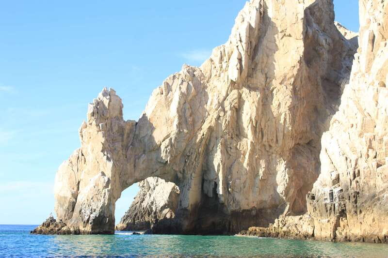 Cabo San Lucas: Up-Close Whale Watching Small-Group Tour - Meeting at La Terminal de Cabo