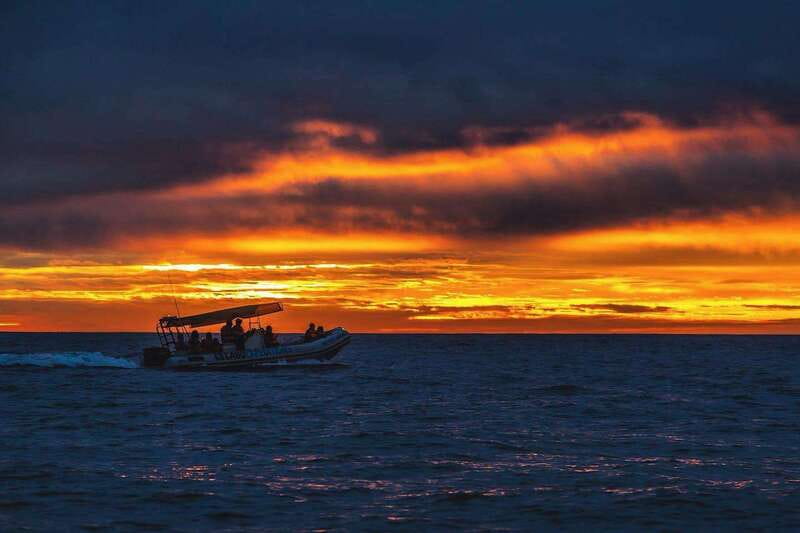 Cabo San Lucas: Up-Close Whale Watching Small-Group Tour - Comfort, clothing, and what to carry