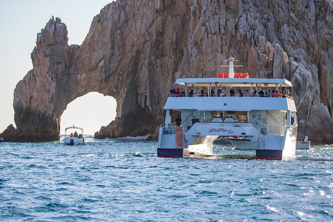 Cabo San Lucas Whale Watching Lunch Cruise - Music, dancing, and the trip home