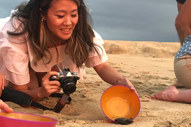 Cabo Turtle Release - Learning from Sylvia, Juan, and the marine biology team