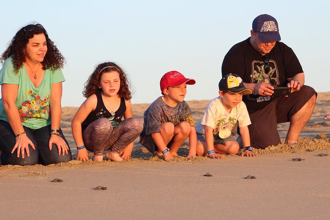 Cabo Turtle Release - Meeting at CaboTrek Hotel Tesoro at 4:00 pm