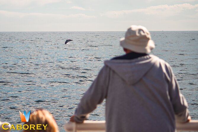 Cabo Whale Watch Three-Level Vessel and Majestic Arch - Key points at a glance