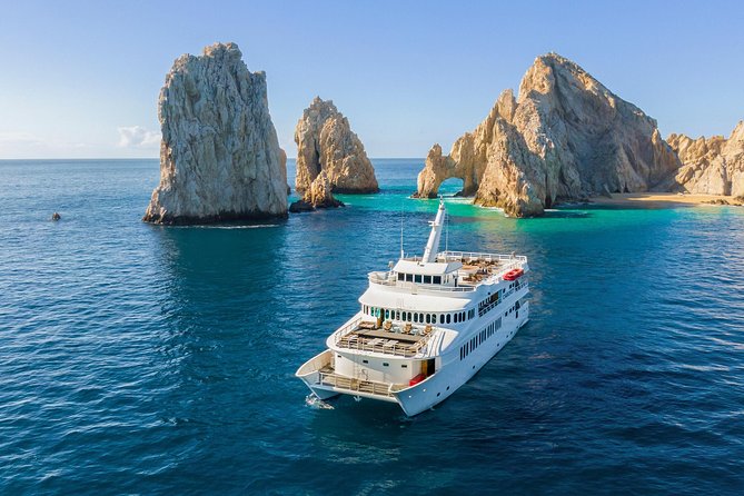 Cabo Whale Watch Three-Level Vessel and Majestic Arch - Searching for gray and humpback whales