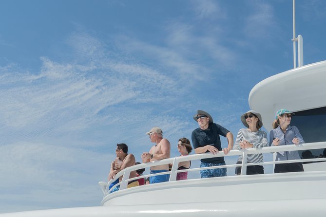 Cabo Whale Watch Three-Level Vessel and Majestic Arch - Breakfast with chilaquiles, pancakes, and pastries