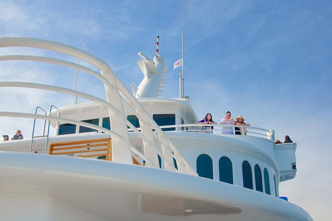 Cabo Whale Watch Three-Level Vessel and Majestic Arch - What the $95 fare really covers