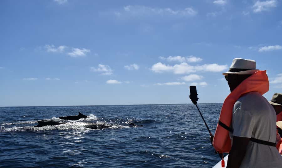 Cabo: Whale-Whatching Boat Trip w/ All-Women Crew and Photos - A Crew That Puts Whale Welfare First