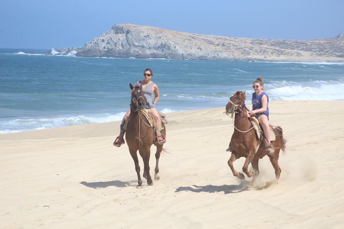 Cabo White Sand Horseback Riding Tour and Tequila Tasting - Key things to know before you book