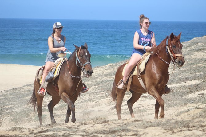 Cabo White Sand Horseback Riding Tour and Tequila Tasting - The $85 price needs a closer look