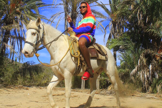 Cabo White Sand Horseback Riding Tour and Tequila Tasting - Tequila tasting: bonus or sales stop?