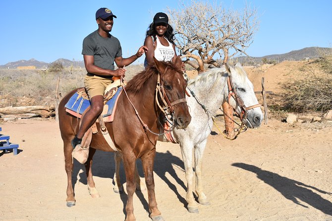 Cabo White Sand Horseback Riding Tour and Tequila Tasting - Who should book this Cabo ride?