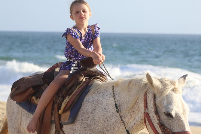 Cabo White Sand Horseback Riding Tour and Tequila Tasting - The beach section is the real payoff