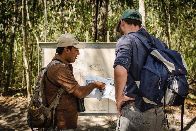 Calakmul Ancient Maya City Tour From Xpujil - Key points to know before booking