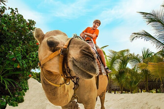 Camel Expedition and Beach Club In Riviera Maya - Maroma Beach is a pleasant extra, not a full beach day