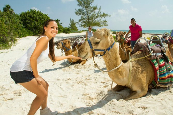 Camel Expedition and Beach Club In Riviera Maya - Shared transportation needs extra attention