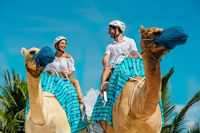 Camel Expedition and Beach Club In Riviera Maya - Feeding the camels is often the best part
