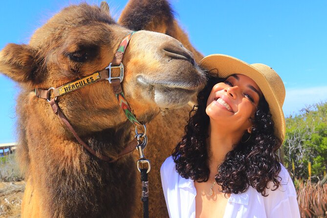 Camel Ride and UTV Combo Adventure, with Tequila Tasting - From camel saddle to Baja off-road track