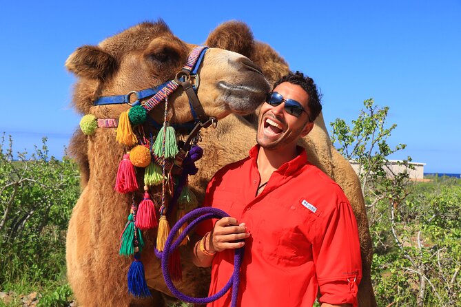 Camel Ride and UTV Combo Adventure, with Tequila Tasting - Tequila tasting at the ranch