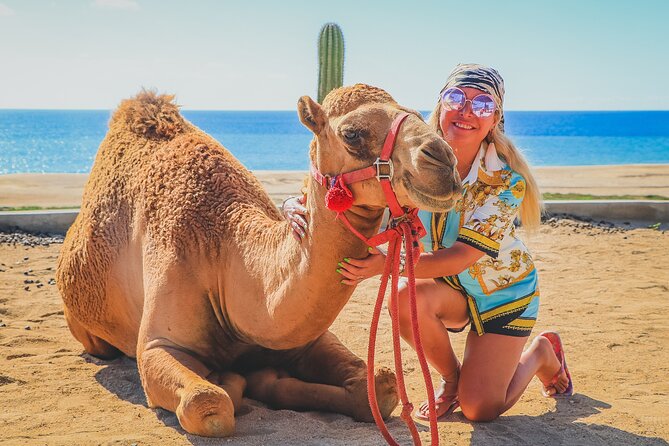 Camel Ride and UTV Combo Adventure, with Tequila Tasting - Cancellation and weather details