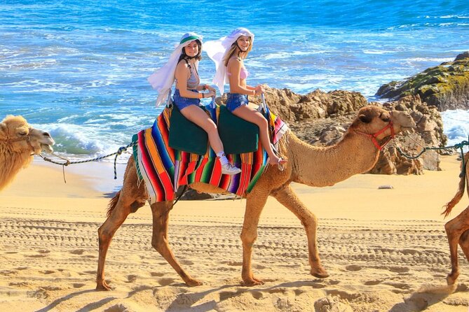 Camel Ride and UTV Combo Adventure, with Tequila Tasting - An hour beside the Pacific on a camel