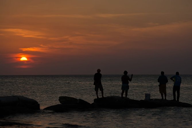 Cancun Airport to Holbox Transportation Private - Where the service could be smoother