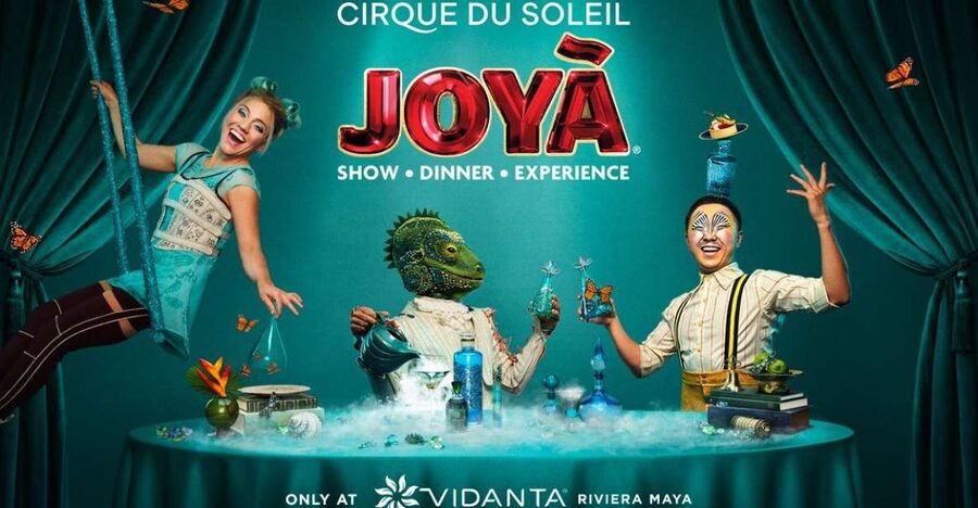 Cancún: Cirque du Soleil JOYÀ Show Ticket - What dinner adds to the performance