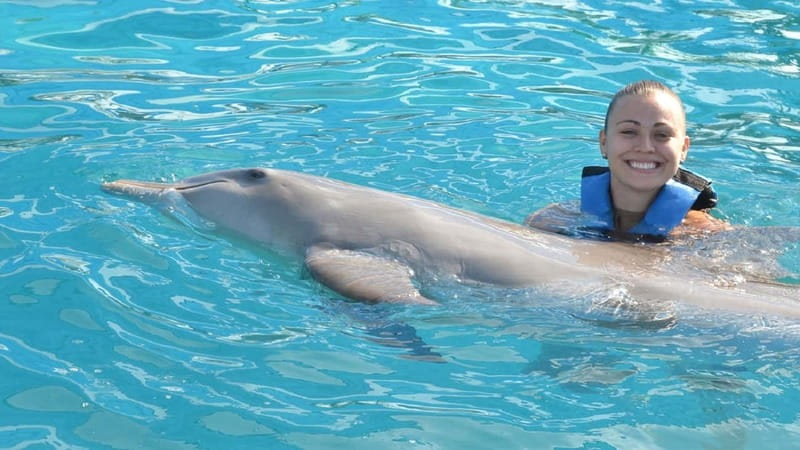 Cancún: Dolphin Encounter on Isla Mujeres with Buffet - The photo issue you should understand early