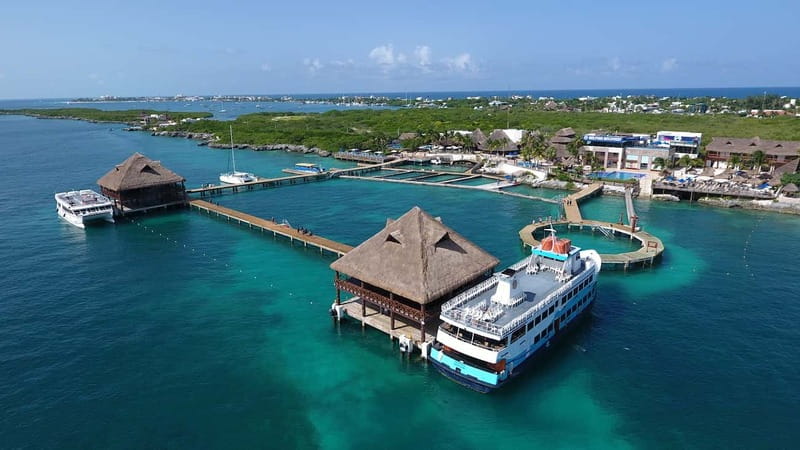 Cancún: Dolphin Encounter on Isla Mujeres with Buffet - Optional time around Isla Mujeres