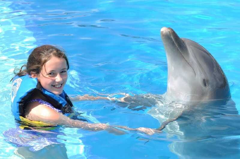 Cancún: Dolphin Encounter on Isla Mujeres with Buffet - Should you book the Isla Mujeres dolphin encounter?