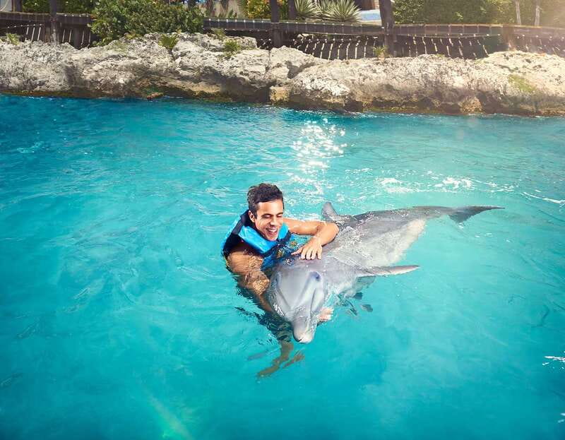 Cancún: Dolphin Encounter on Isla Mujeres with Buffet - Meeting dolphins from an underwater platform