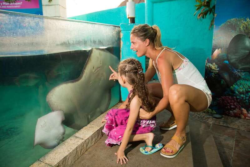 Cancún: Interactive Aquarium Admission - Key points to know before you go