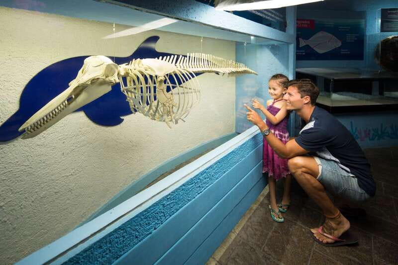 Cancún: Interactive Aquarium Admission - What the $17 admission actually gives you