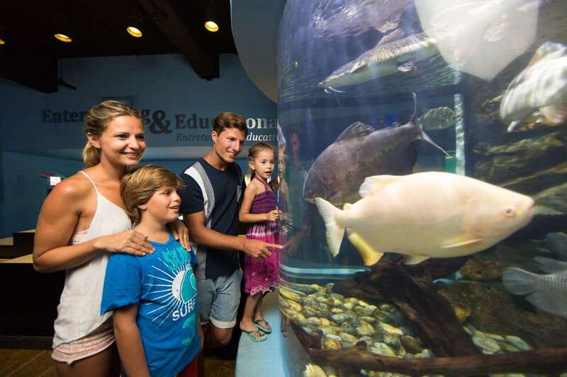 Cancún: Interactive Aquarium Admission - Starting with freshwater and saltwater fish