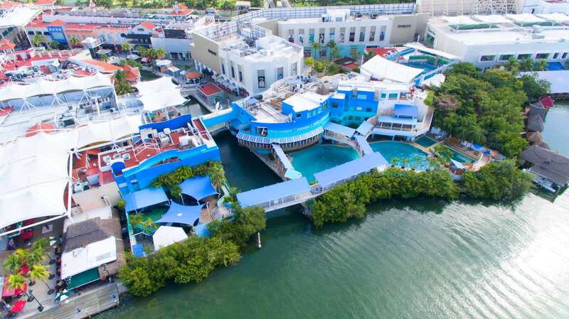 Cancún: Interactive Aquarium Admission - The touch tanks are the most memorable part