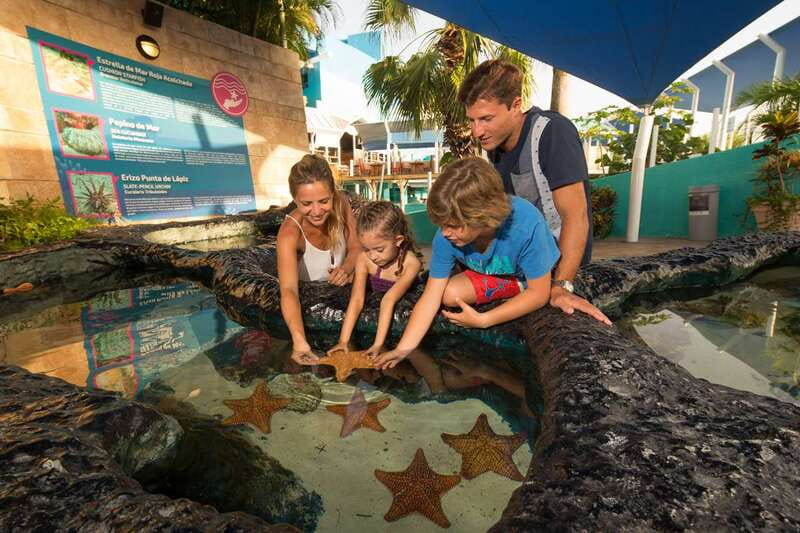 Cancún: Interactive Aquarium Admission - How long should you allow?