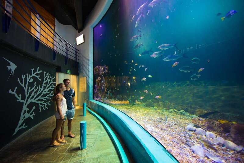 Cancún: Interactive Aquarium Admission - Smart ways to plan the visit